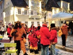 Umzug_Göppingen_07.01_2024_016